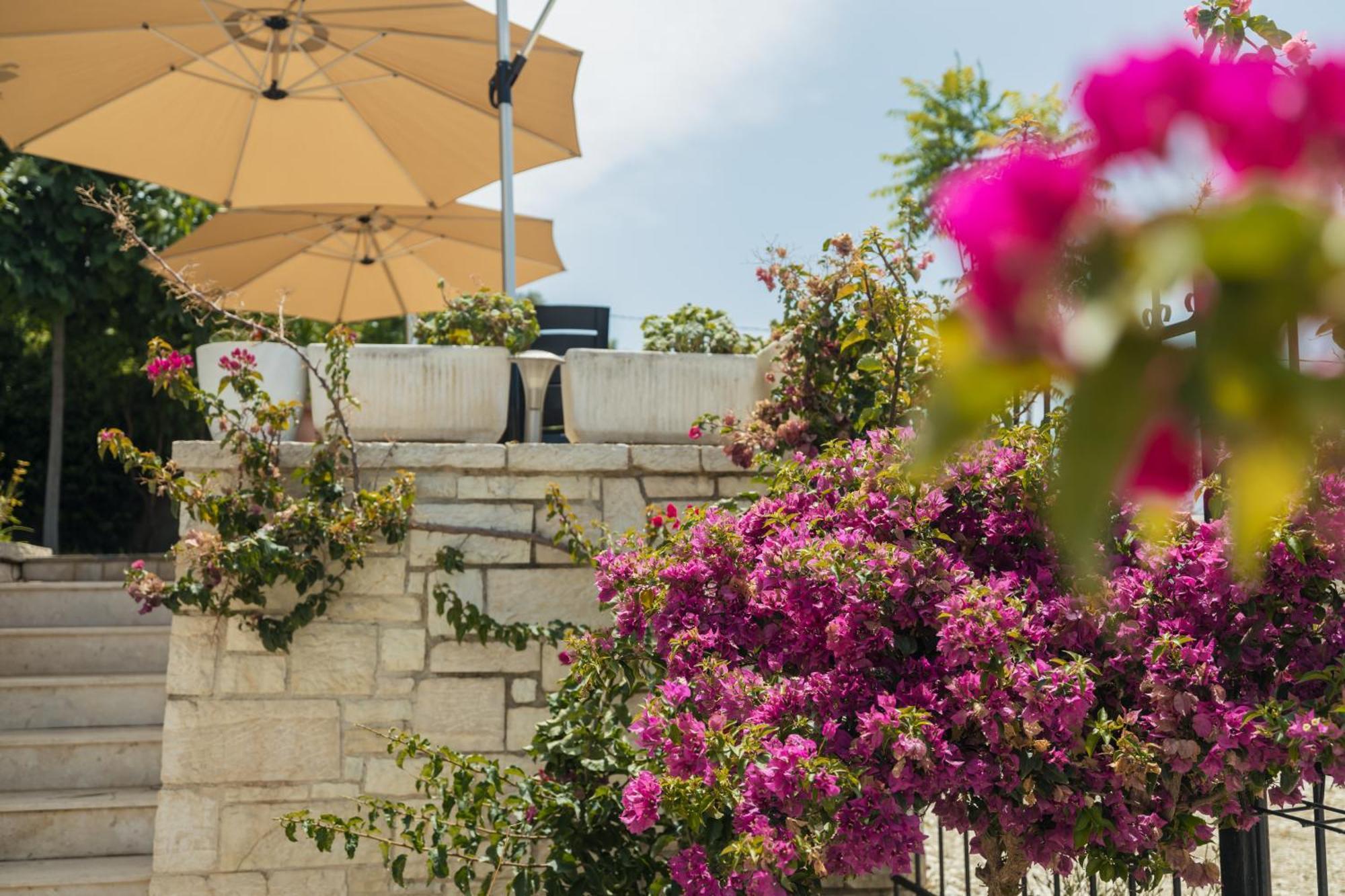 Voyage Villa Vlore Bagian luar foto